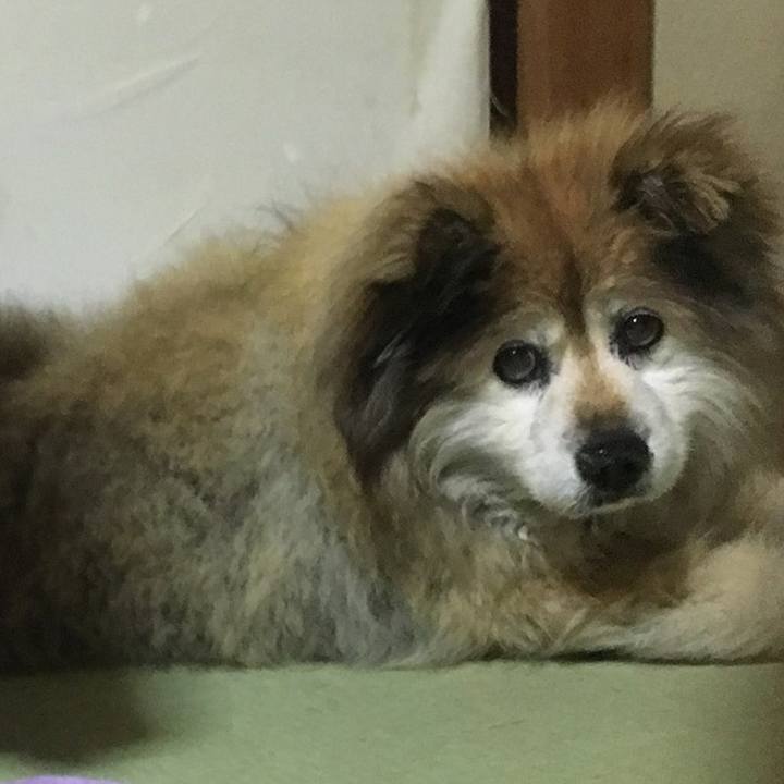 1bbfc45b 8c23 41ad 82dc f0f4aca2a815 1593975443499