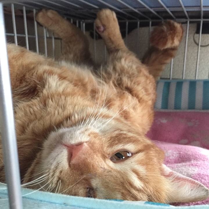 1bbfd3fb 6bff 4c3d a44b 458b22fac9b5 1518954822050