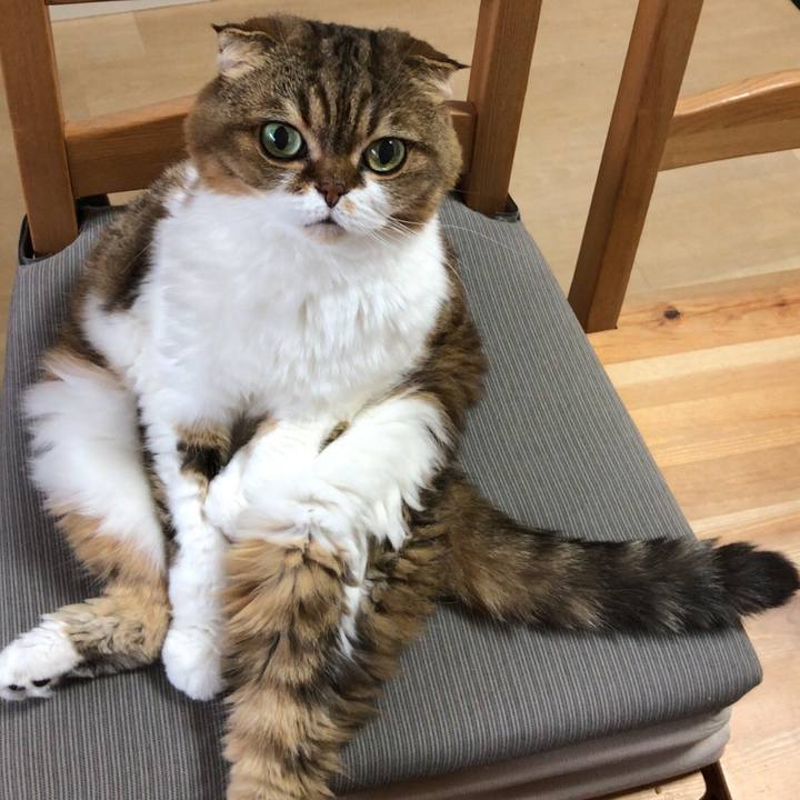 1bc01997 470e 423c be05 5f15edb10487 1537393964497