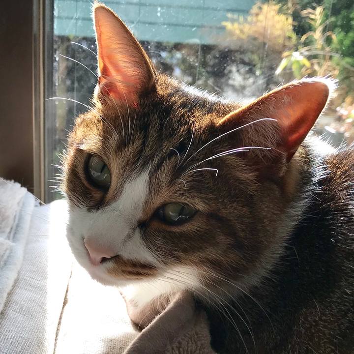 1bc02272 5e12 4218 9763 b13e01597472 1516418920884