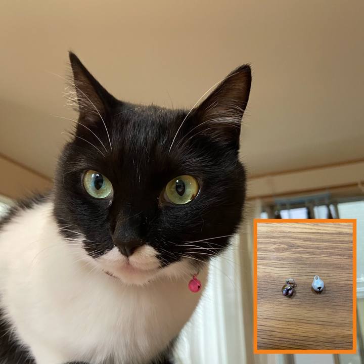 1bc09690 aab3 474b 864f e6f5a8ae8fa1 1594717270512