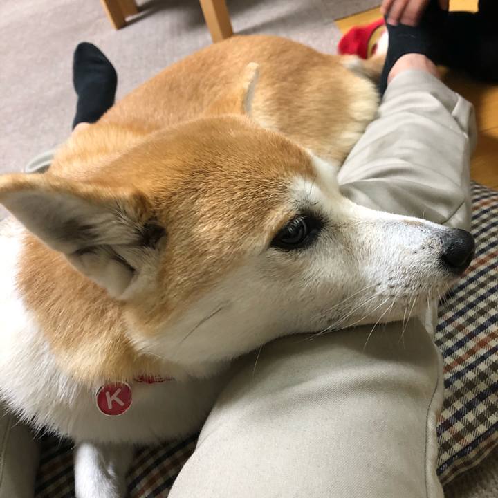 1bc0dd76 4f15 4d6e abdb bc315261e3ba 1573972066595