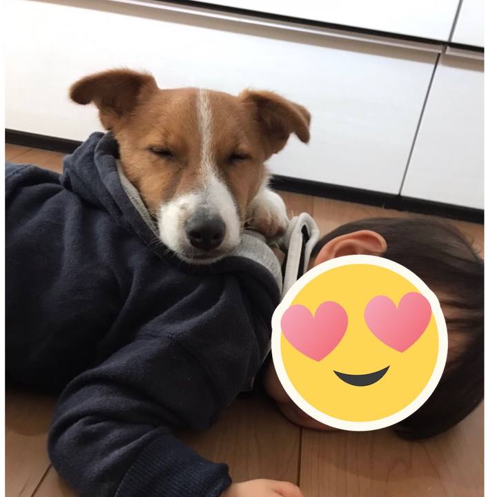 1bc0ee81 3185 4fe3 ad49 60550382ea3d 1582006119105