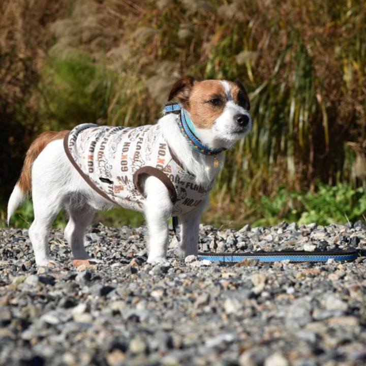 1bc1048e e00d 4c31 85df 98a624b81345 1510398765204