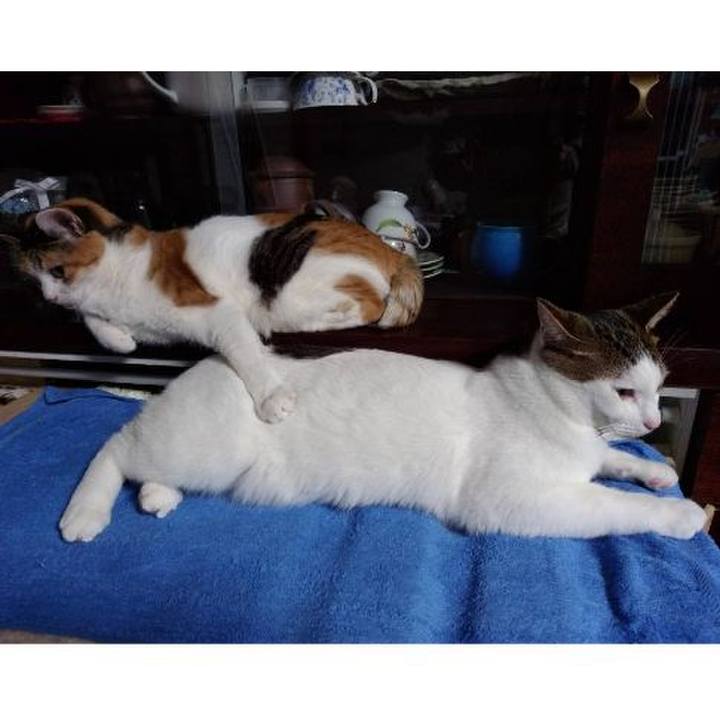 1bc12e2f d18b 4e57 9401 0bc929ff25f2 1668079088008