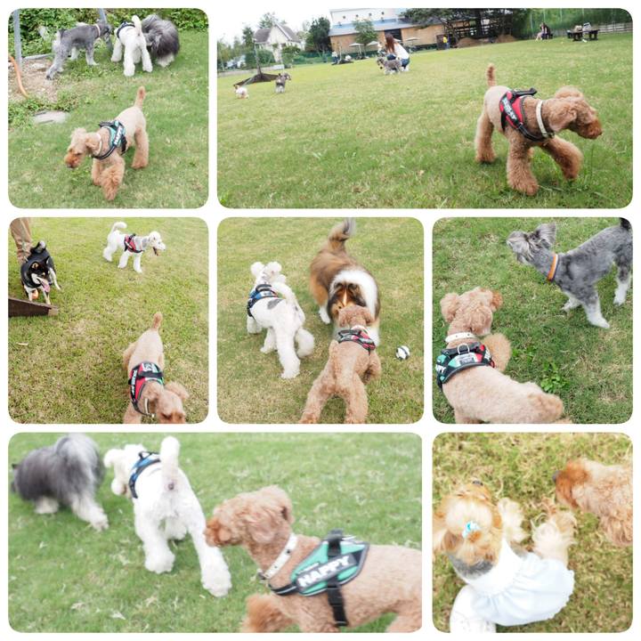 1bc14327 62e9 48aa 84a6 082b9ea23339 1537917378426