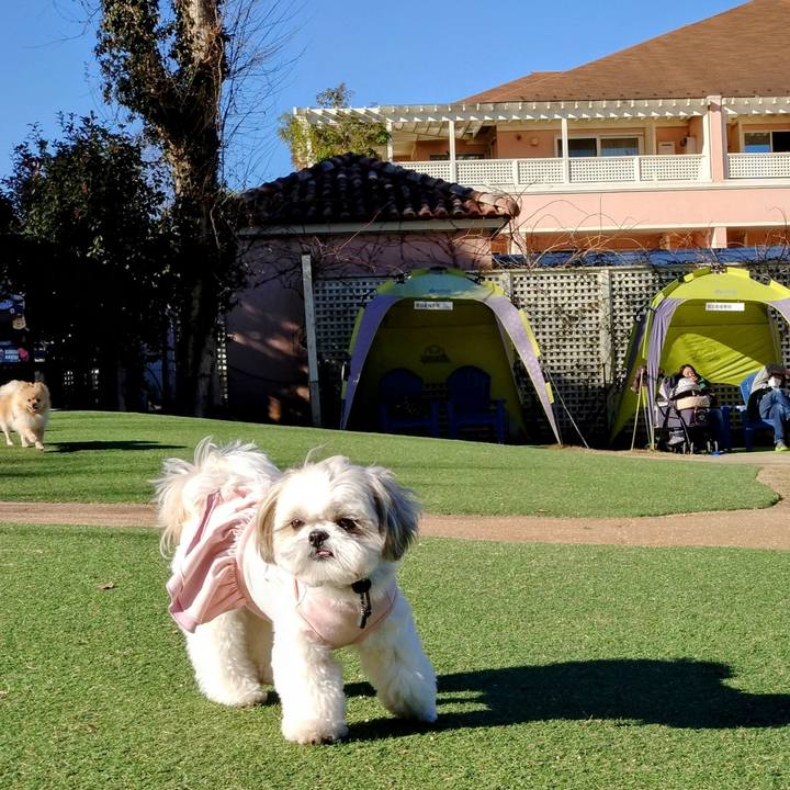 1bc16369 b469 4eae 8058 e5143b77fd93 1671839850627