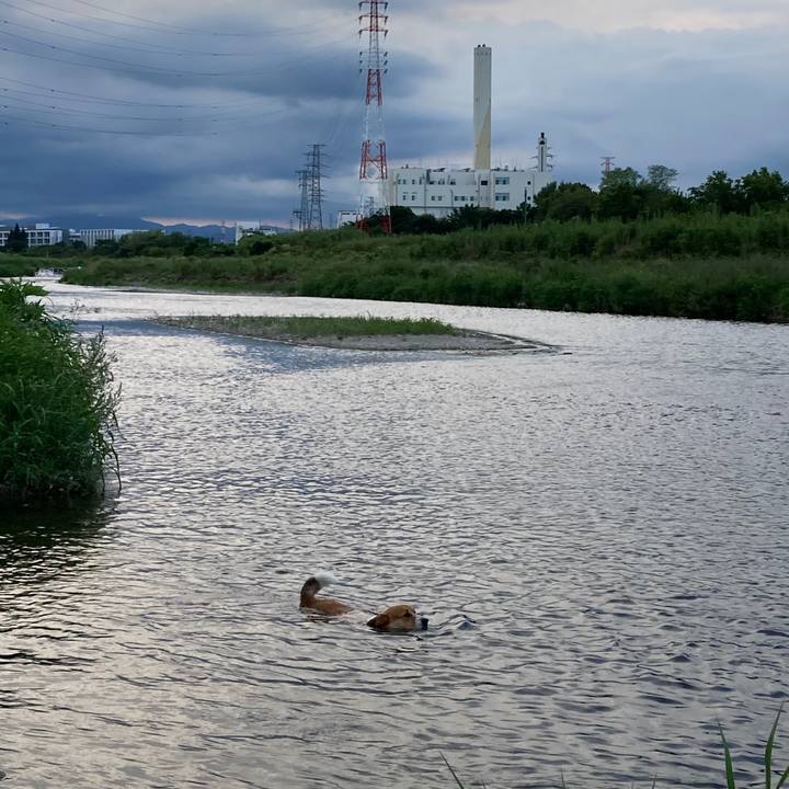 1bc1ae7a f06e 4629 936a 2455bd6a4c89 1692794658352