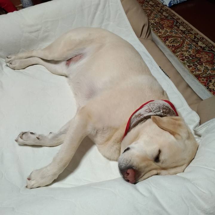 1bc22cce 7baf 4409 bfc8 7338db30d0dd 1620655838735