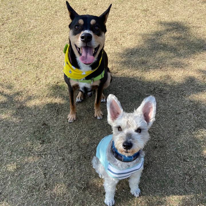 1bc2389f b6ac 4eb9 b093 2b55ed1aa159 1603182881327