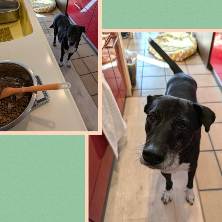 1bc242e9 9037 4289 b5b9 38504c8877ab 1728865049682