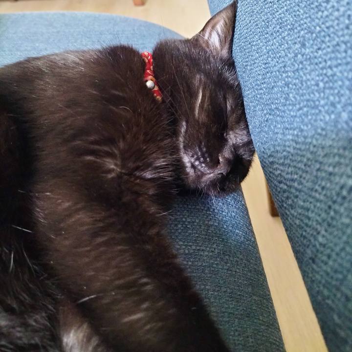 1bc25acd c15a 4d51 b5eb 7bec9f22812e 1688648631127