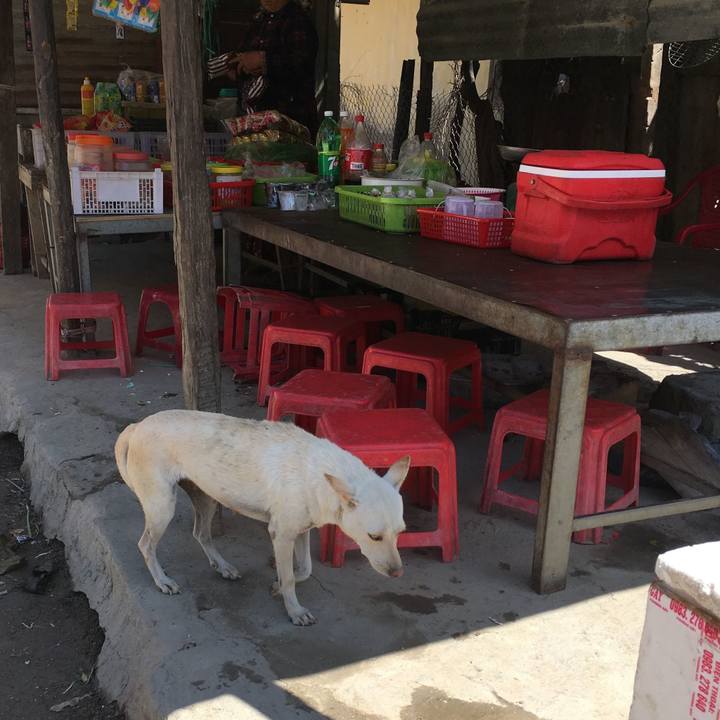 1bc26240 18ab 4ea0 8d0a 47df91f421f0 1550397111995