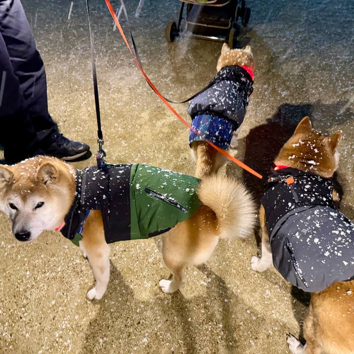 1bc2b1cf e5ea 4880 a5fb 7bea9bebe19f 1768147714582