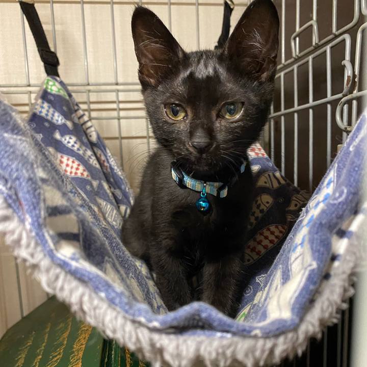 1bc2ca10 6152 4f17 83a3 d55035dc0035 1626942920033