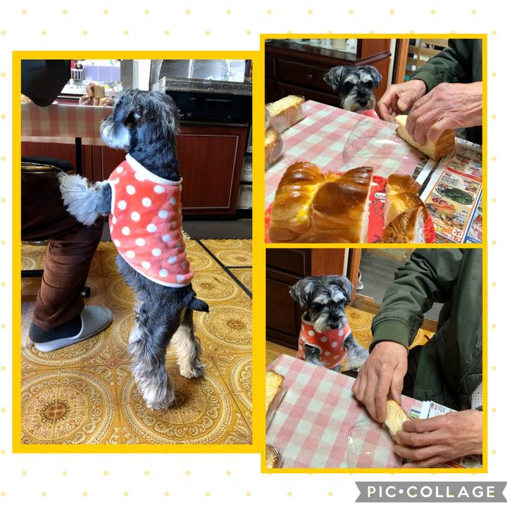 1bc2dae8 2bc5 45d6 8eb9 d2e8267744be 1650170508158