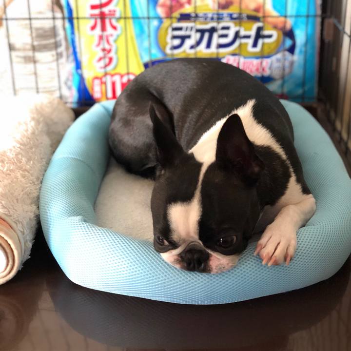 1bc2ed3f ffd6 4d13 8ab8 dba716c14e9a 1531795001675