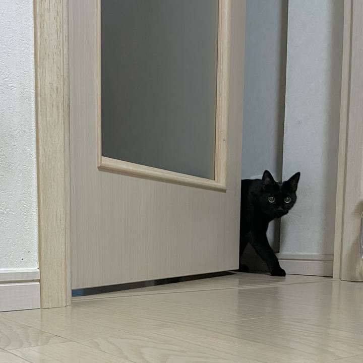 1bc2ee10 ee50 4912 b504 ed3ccdfcc80e 1736251364531