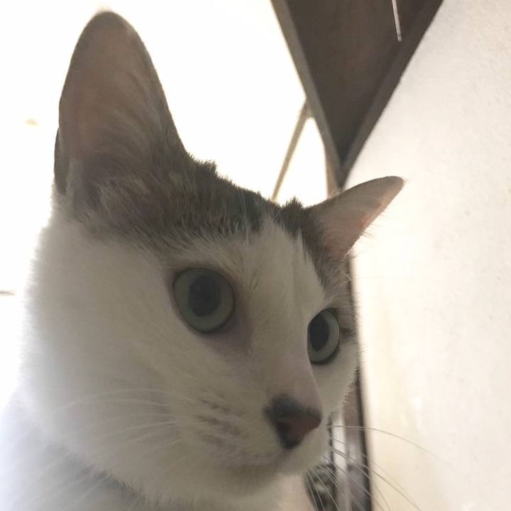 1bc2f7c1 146d 4db1 863d 63a6c8027d44 1561439490692