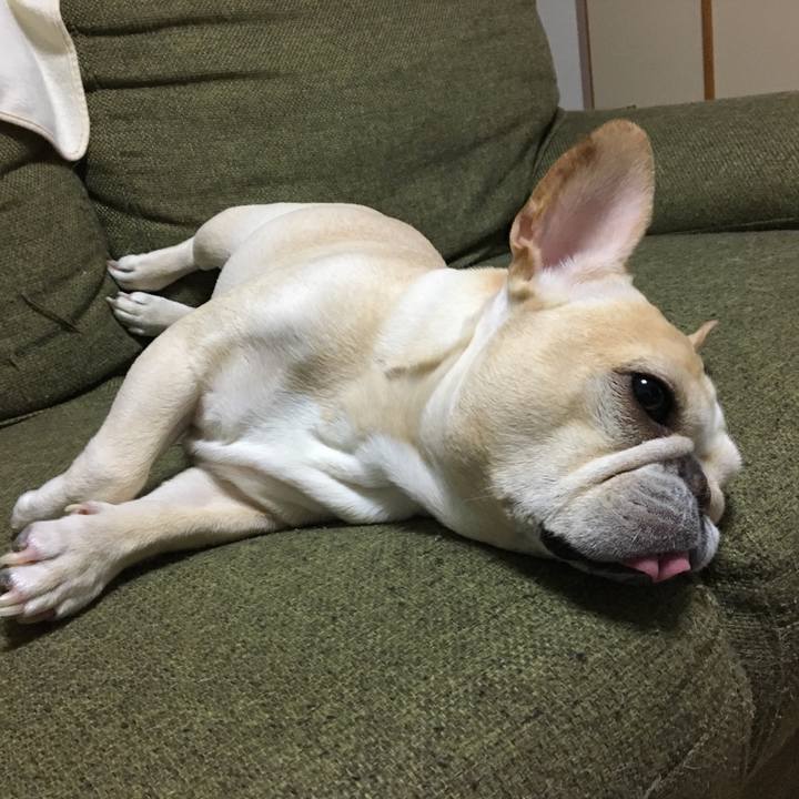 1bc315b6 c234 4fab 8b27 c7578d808e87 1512394539918