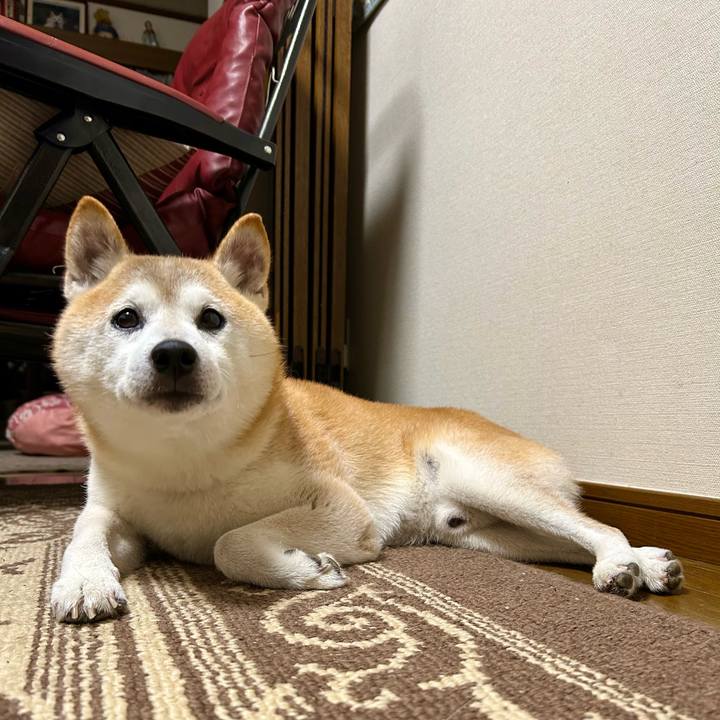 1bc31d8d 2ced 4914 a7ed ab2f5f013ac4 1757675132977