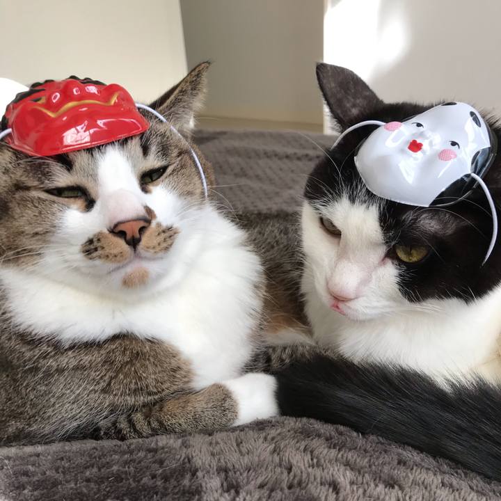 1bc34365 85ac 4801 a806 f41af2b71e90 1549179721741