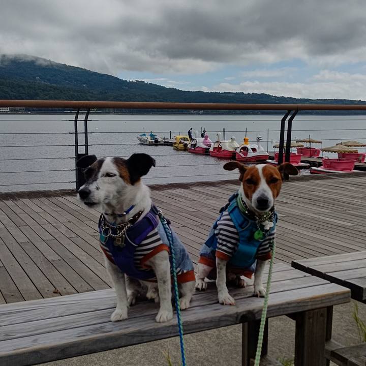 1bc34aff 548c 4d19 8745 c94d50ff7f6c 1661747023971