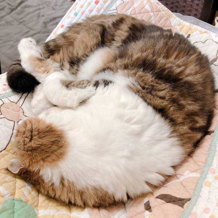 1bc3683e bfa0 4282 b63d 849a8713e6ab 1558597864426