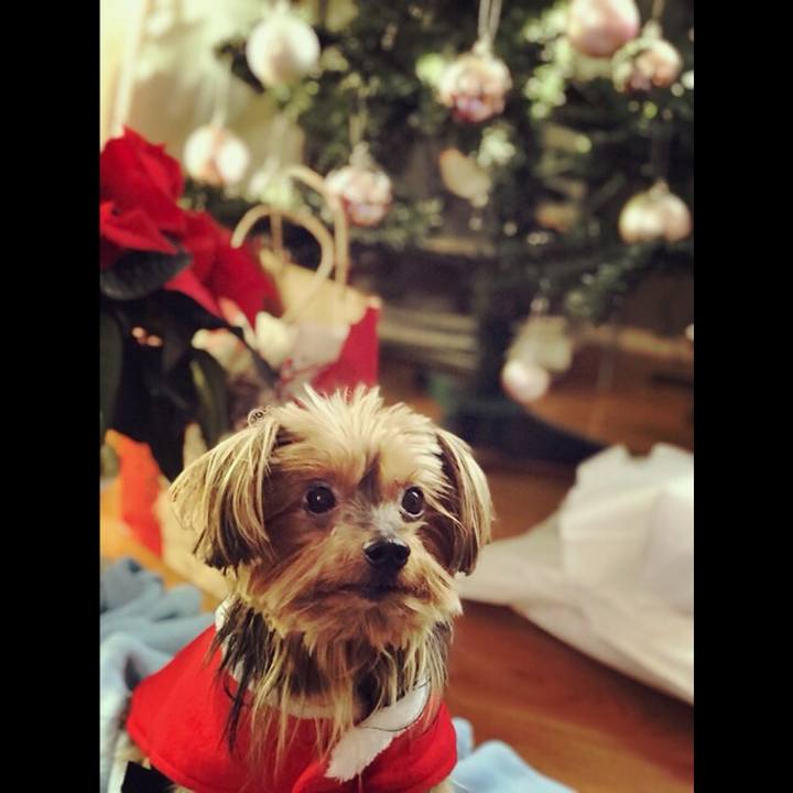 1bc3686c 9b70 40a6 9e68 6b66c5fafd94 1512822952504