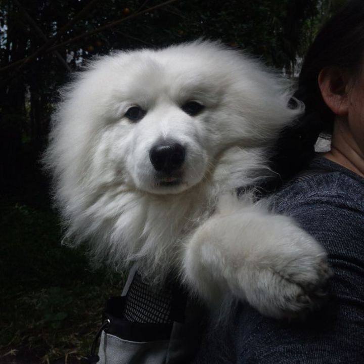 1bc37f95 ec8b 4b8f b984 c095fc78dc31 1683282207747