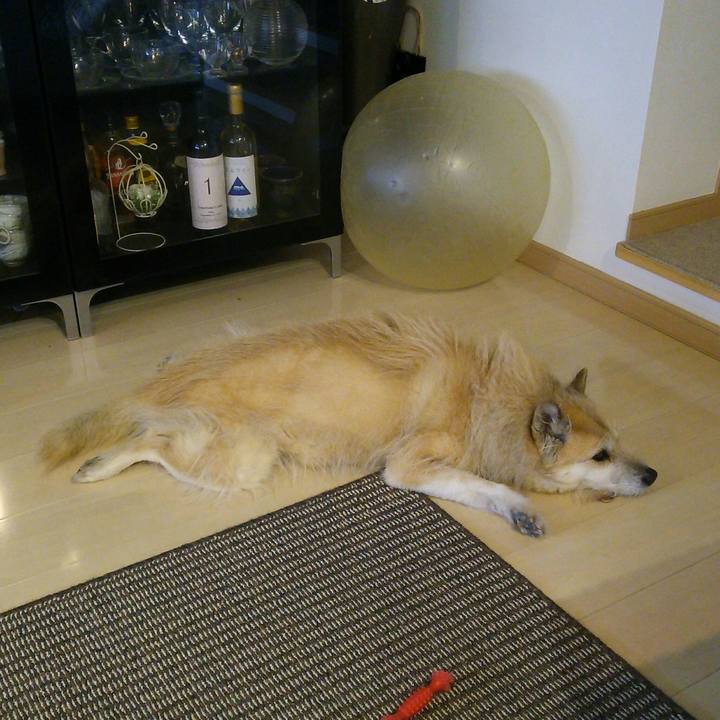 1bc3b8db 7e73 45e8 8955 2650ed024e45 1521338447104