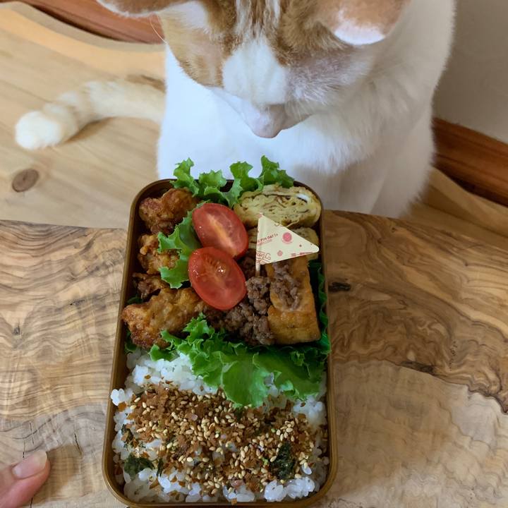 1bc3e2f7 262e 44d4 92ad 06646e1d1aa4 1652651581173