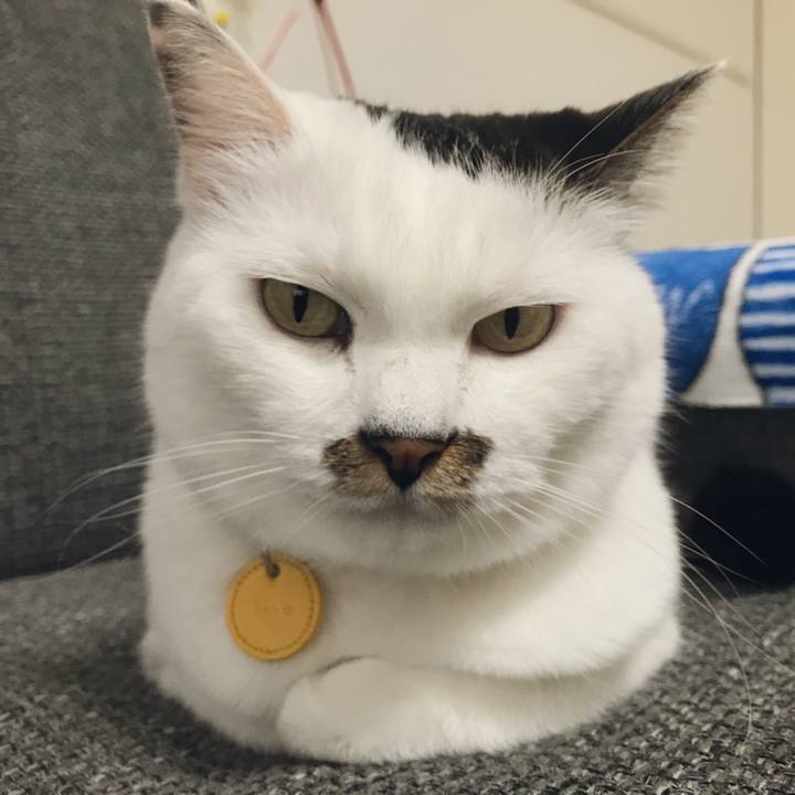 1bc3f17e 7c5d 4551 b465 b276d120e315 1535095862880