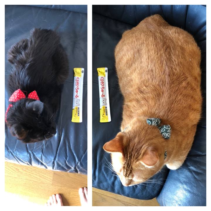 1bc4059e 81ce 4bf4 9afb 7df6e8d3ff1f 1556580601791