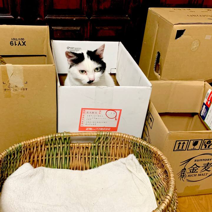 1bc428e3 5c21 4061 90ba 41c90344aa46 1591539735460