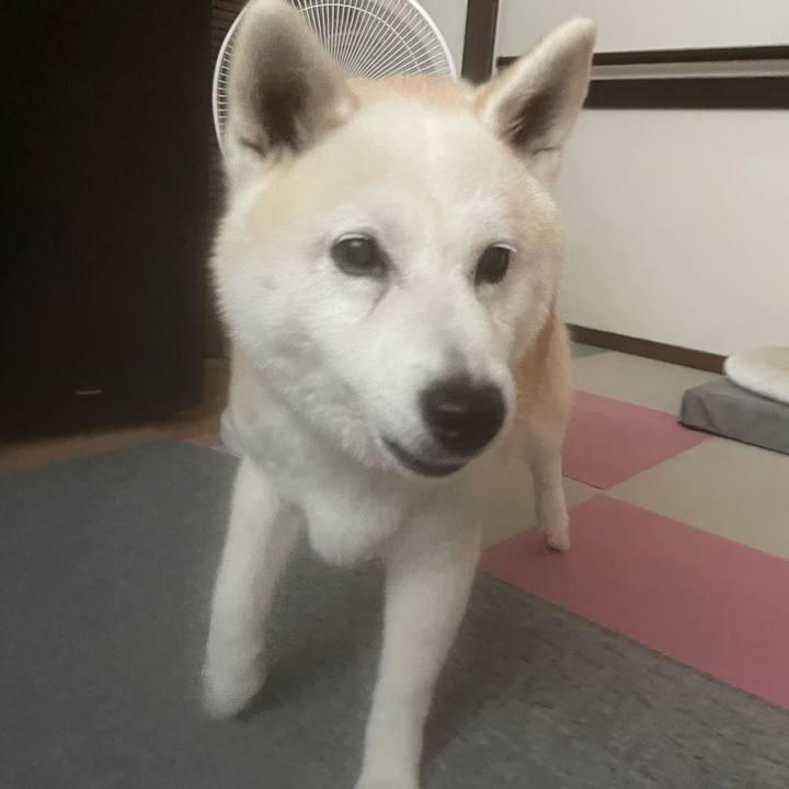 1bc46486 2c18 45d5 8567 2410c48a639c 1660607342548