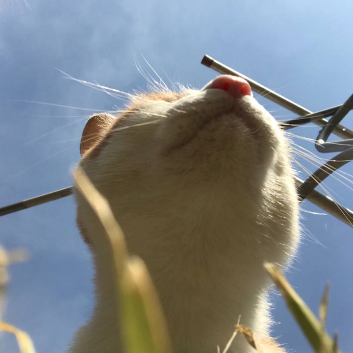 1bc50b3c fd02 4d0e 8949 38a0db3f4d36 1517816965863