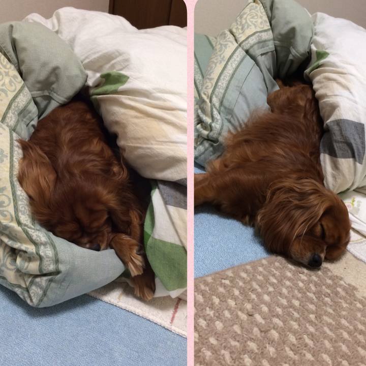 1bc517fd 3dd5 48ef 8aa0 a734b49ef87c 1608124288996