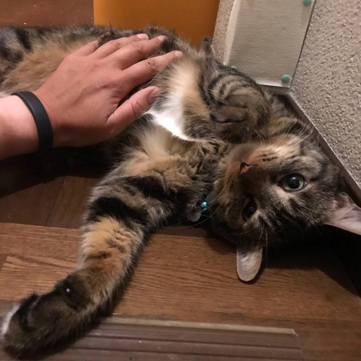 1bc51bf0 c24d 471d b436 1a5e869d9fc5 1538224999925