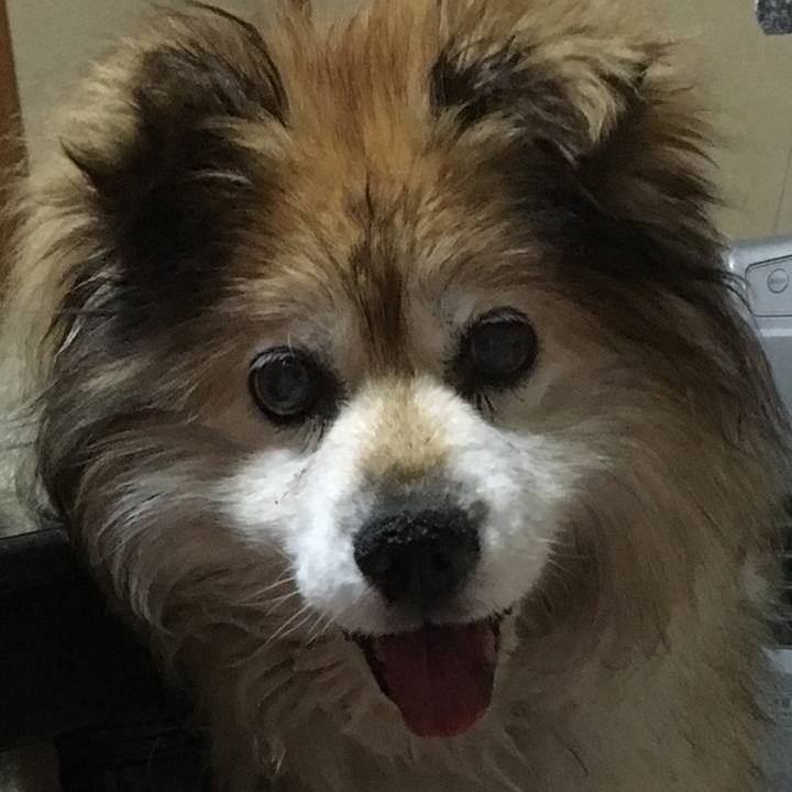 1bc531ae 74dc 4a1d bf99 41f24f4f0f7a 1575011146107