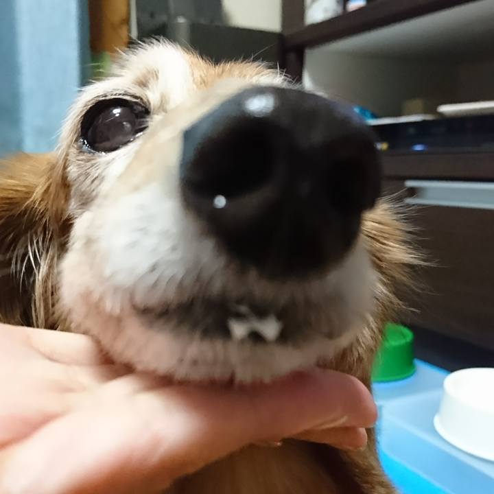 1bc53520 b754 4551 b08f 0146b788b243 1516698104063