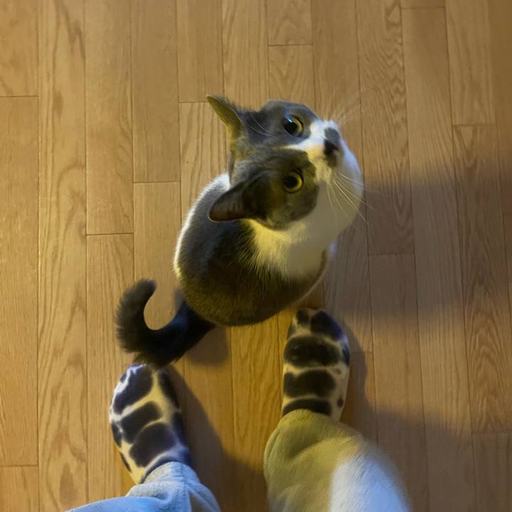 1bc56e7f 1371 4962 a1ae ab9ddf4baad5 1740871062453