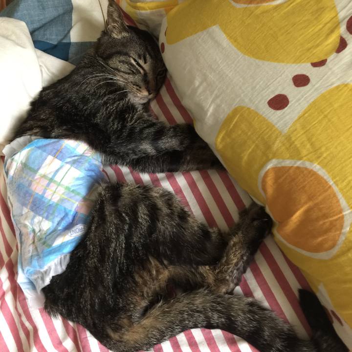 1bc5705f c290 4233 9c10 bb8aaaf5a048 1534738940793