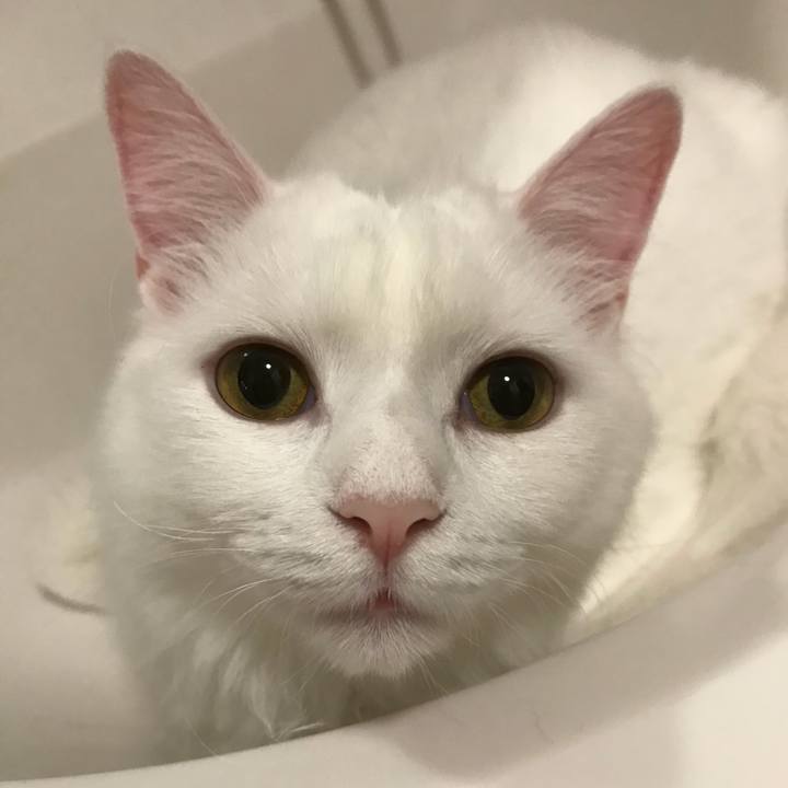 1bc59345 4ff5 459a 88ea b6e97c44aa87 1530158075849