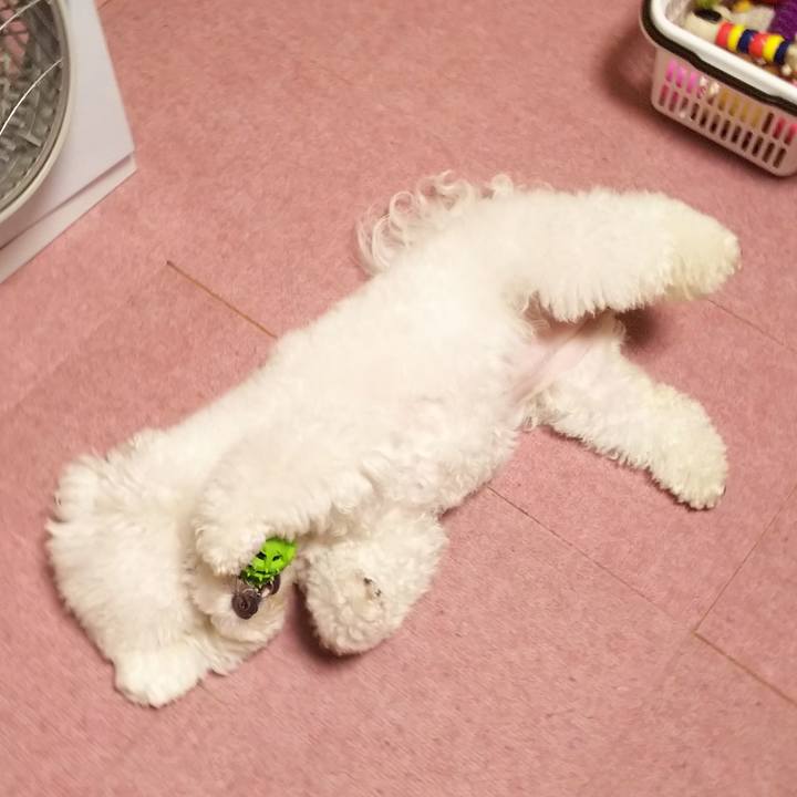 1bc5d305 df05 4ee6 955f 531ae73715d4 1533732058333