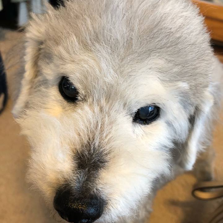 1bc600e5 a3b9 4ce3 b1dd 2e50ca21f7fb 1652054069716