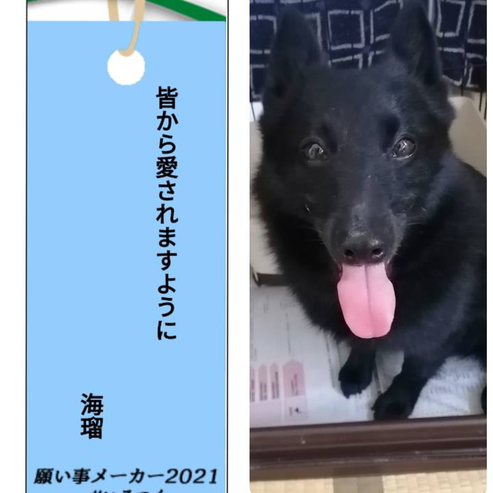 1bc61dde c8de 4ba4 81c7 b8684916d2b3 1625659598918