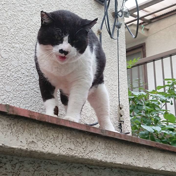 1bc61ff2 ac0b 442d 9e64 8053c7adaf76 1625561511529