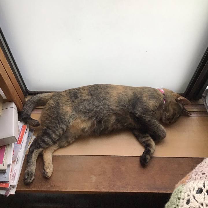 1bc652c1 c733 4f0e 8a19 3b2daabc54da 1597649364103