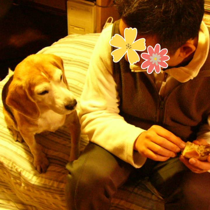 1bc65db9 9b49 4ccd a317 b540c1dcfb34 1649293708212